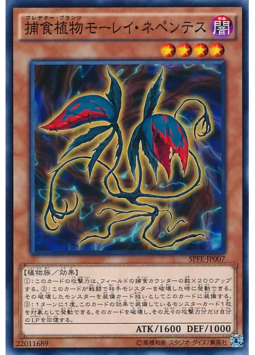 捕食植物モーレイ・ネペンテス
