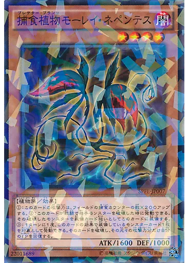 捕食植物モーレイ・ネペンテス (Normal Parallel Rare)