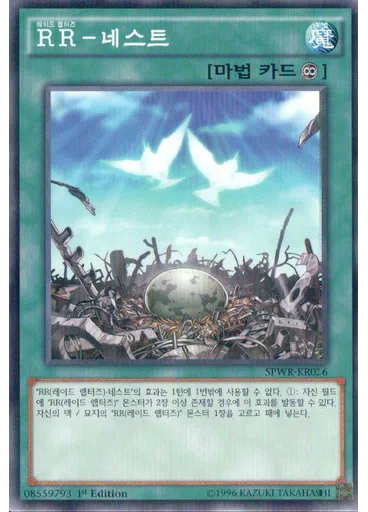 RR－네스트