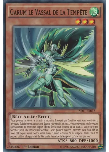 Garum le Vassal de la Tempête
