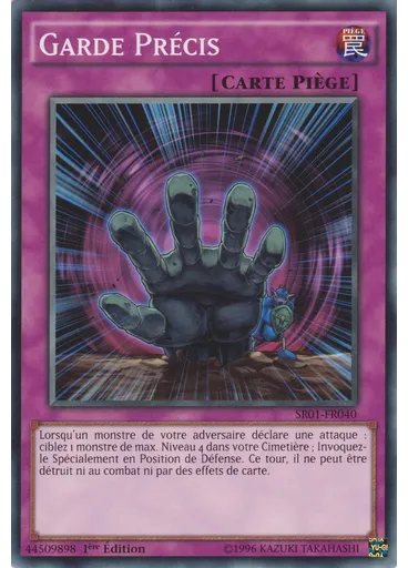 Garde Précis
