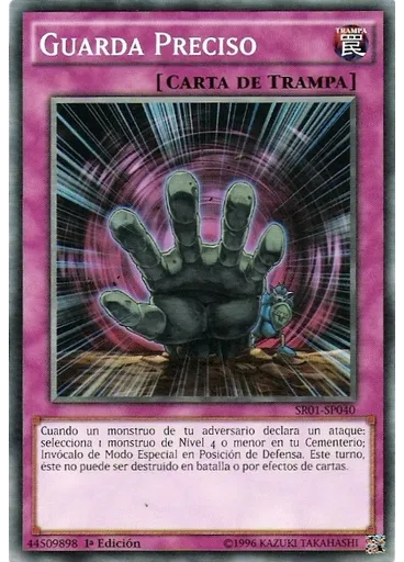 Guarda Preciso