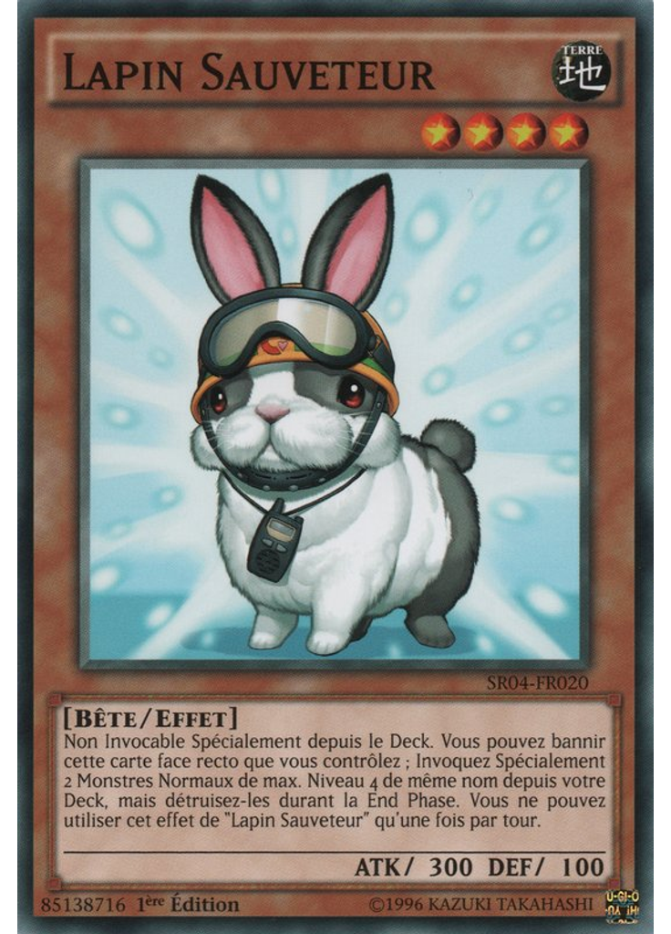 Lapin Sauveteur
