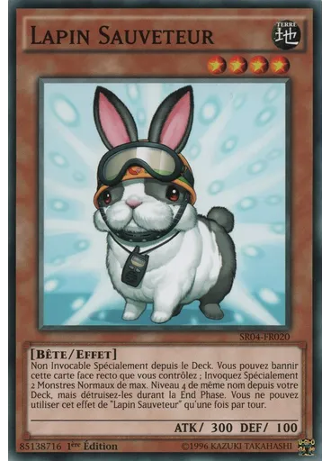 Lapin Sauveteur