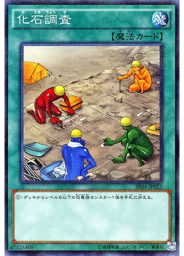 化石調査