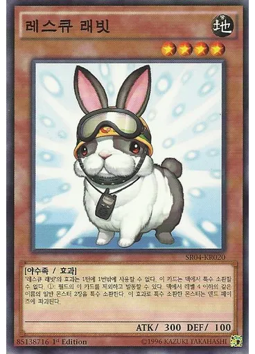 레스큐 래빗