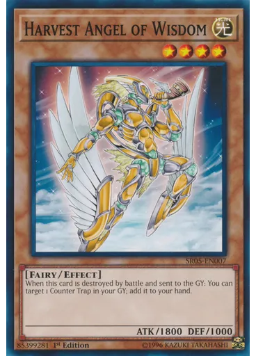 Harvest Angel of Wisdom