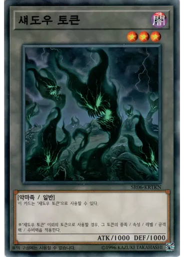 섀도우 토큰