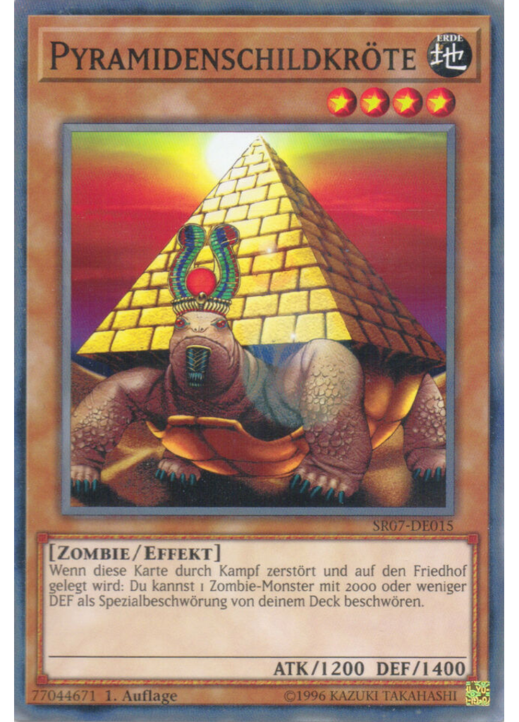 Pyramidenschildkröte