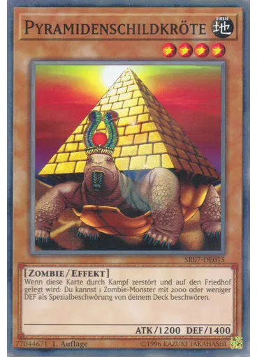 Pyramidenschildkröte