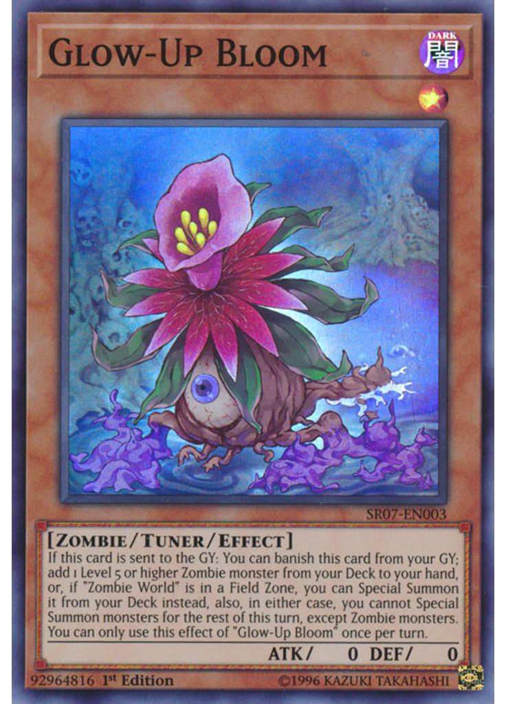 Glow-Up Bloom