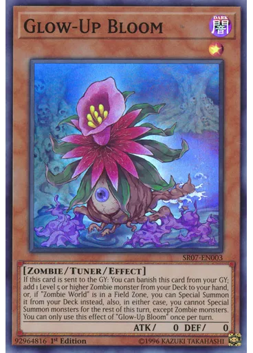 Glow-Up Bloom
