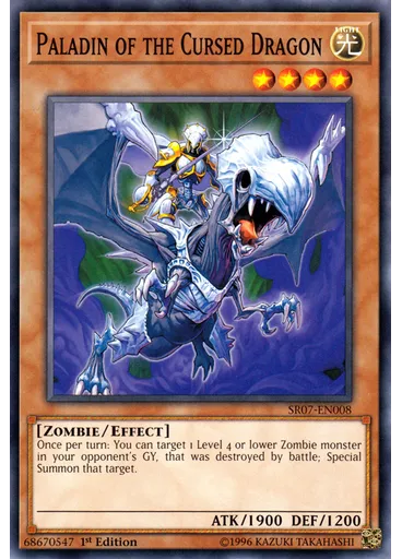 Paladin of the Cursed Dragon