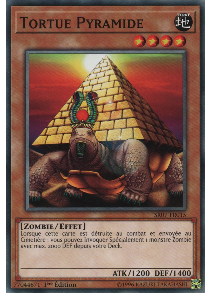 Tortue Pyramide