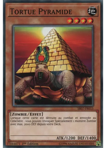 Tortue Pyramide