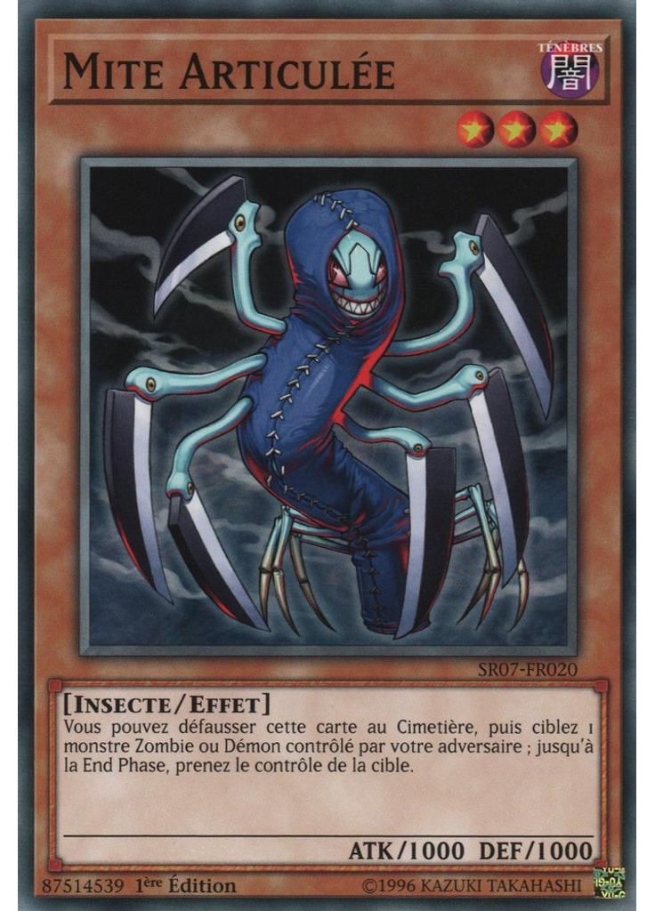 Mite Articulée