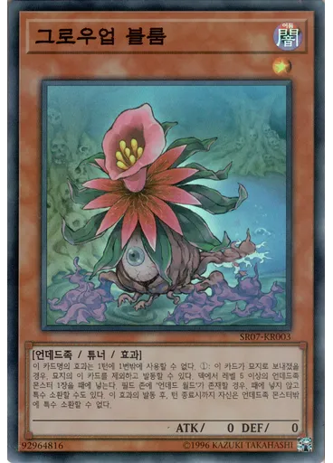 그로우업 블룸
