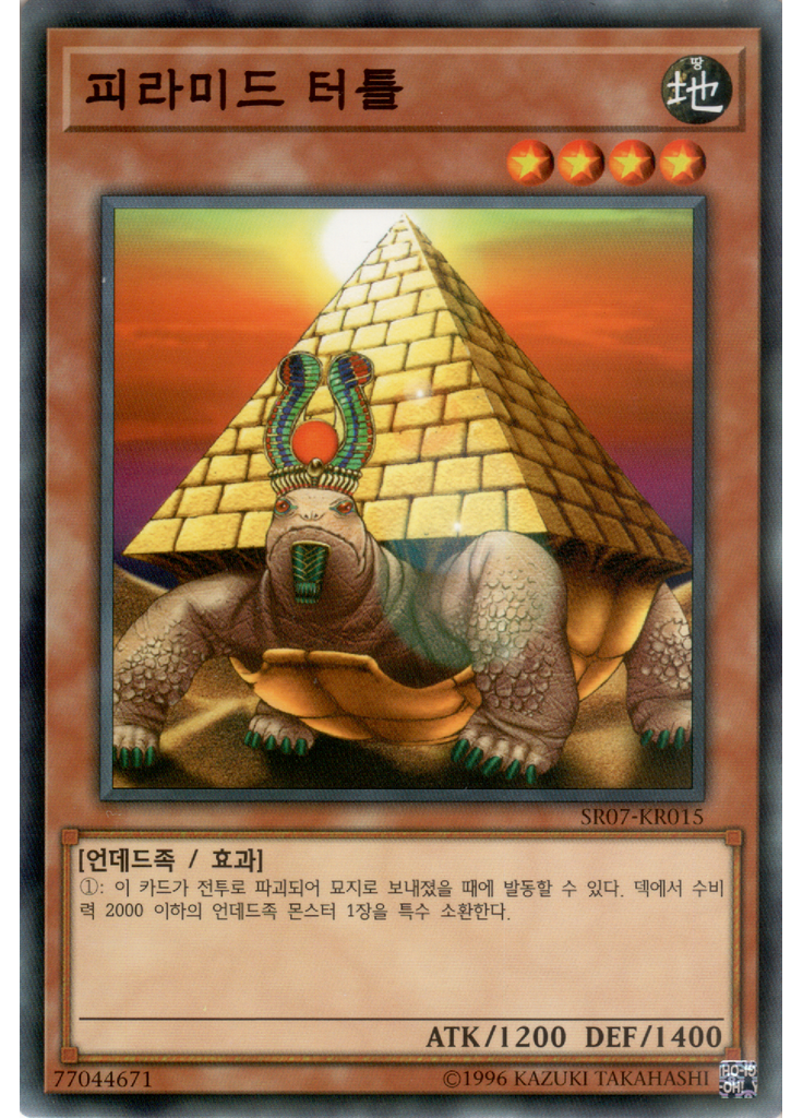 피라미드 터틀