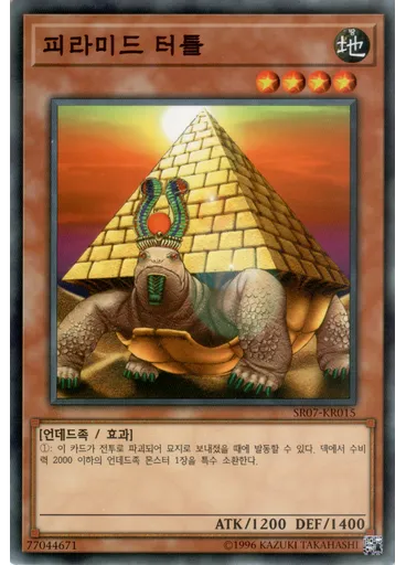 피라미드 터틀