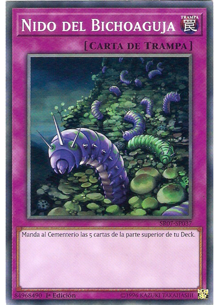 Nido del Bichoaguja