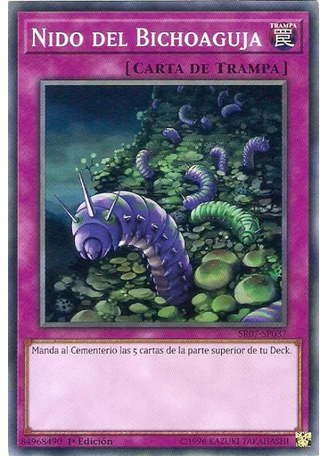 Nido del Bichoaguja