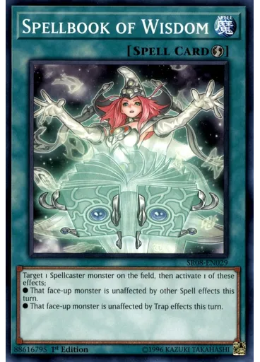 Spellbook of Wisdom