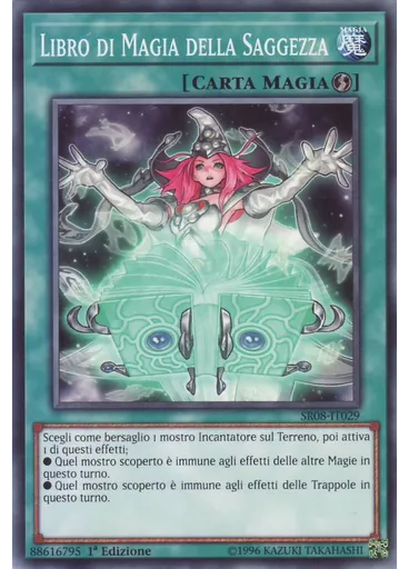 Libro di Magia della Saggezza