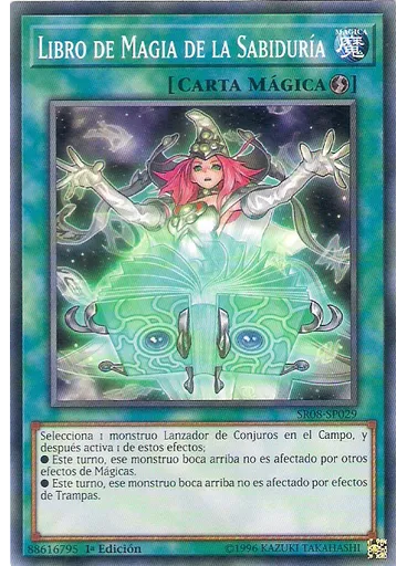 Libro de Magia de la Sabiduría