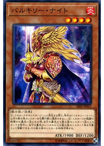 バルキリー・ナイト
