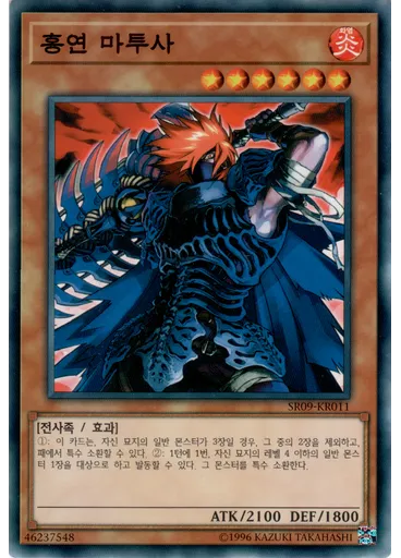 홍연 마투사