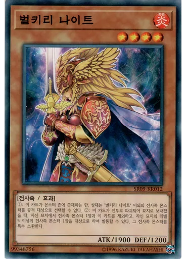 벌키리 나이트