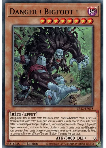 Danger ! Bigfoot !