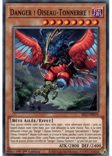 Danger ! Oiseau-Tonnerre !