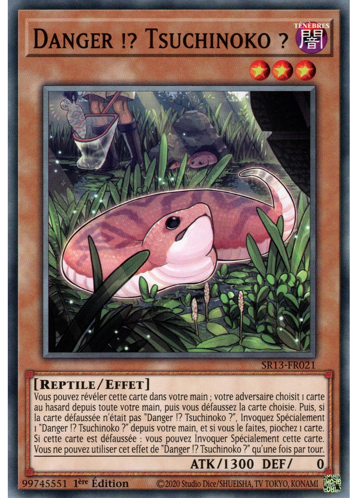 Danger !? Tsuchinoko ?