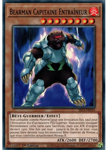 Bearman Capitaine Entraîneur