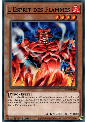 L'Esprit des Flammes