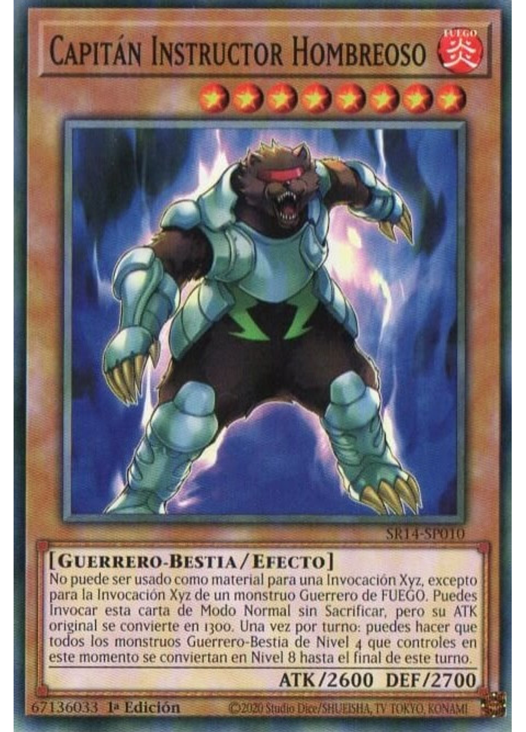 Capitán Instructor Hombreoso