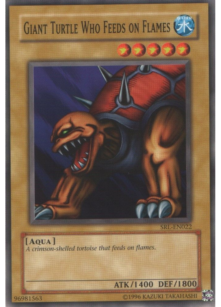Giant Turtle Who Feeds on Flames