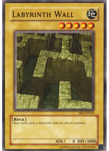 Labyrinth Wall