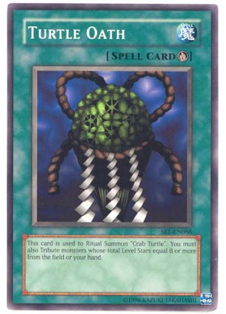 Turtle Oath