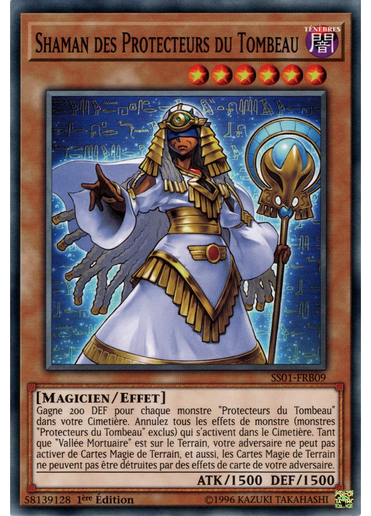 Shaman des Protecteurs du Tombeau