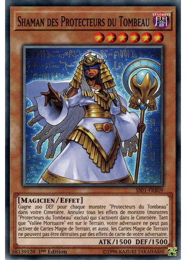 Shaman des Protecteurs du Tombeau