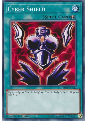 Cyber Shield