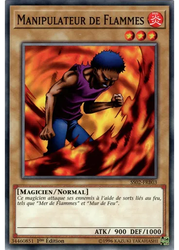 Manipulateur de Flammes
