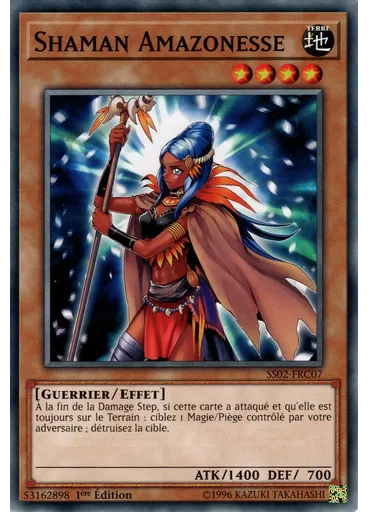 Shaman Amazonesse
