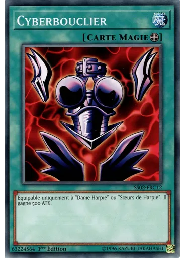 Cyberbouclier