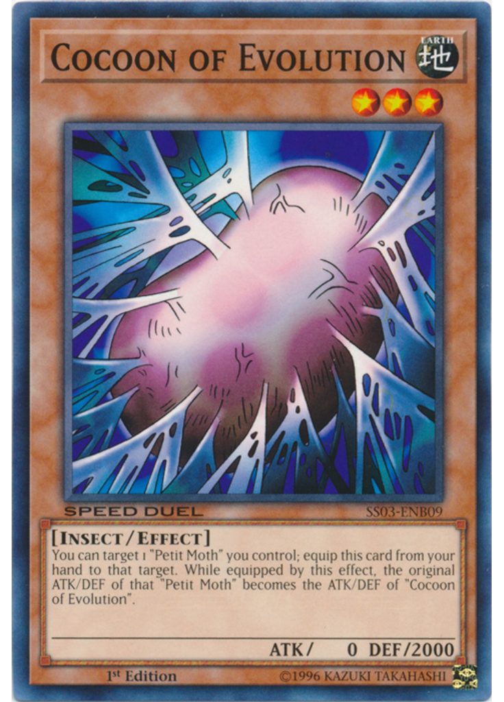 Cocoon of Evolution