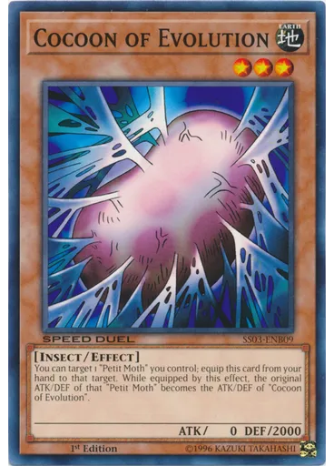 Cocoon of Evolution