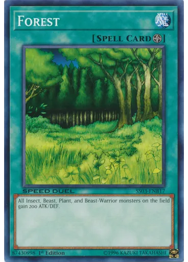 Forest