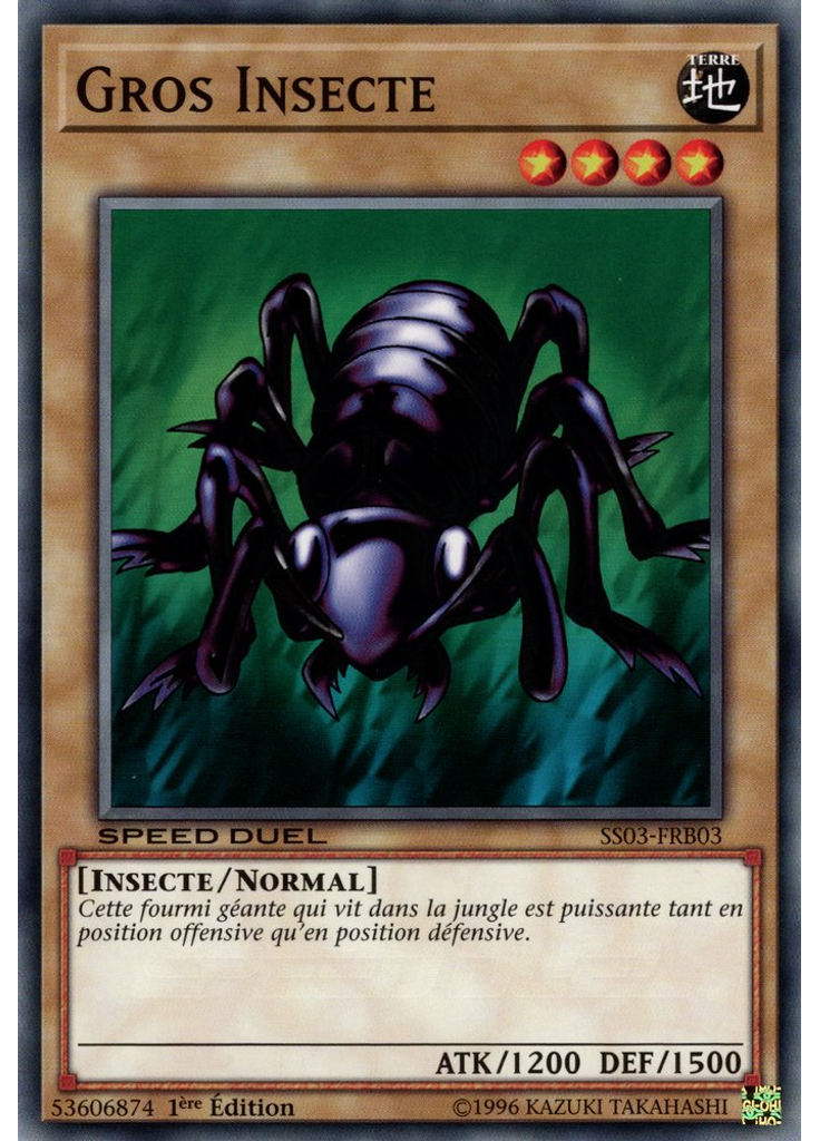 Gros Insecte